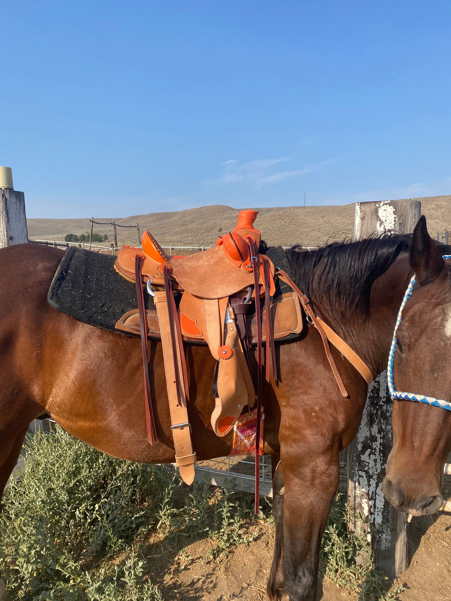 Saddle Custom Order Spot