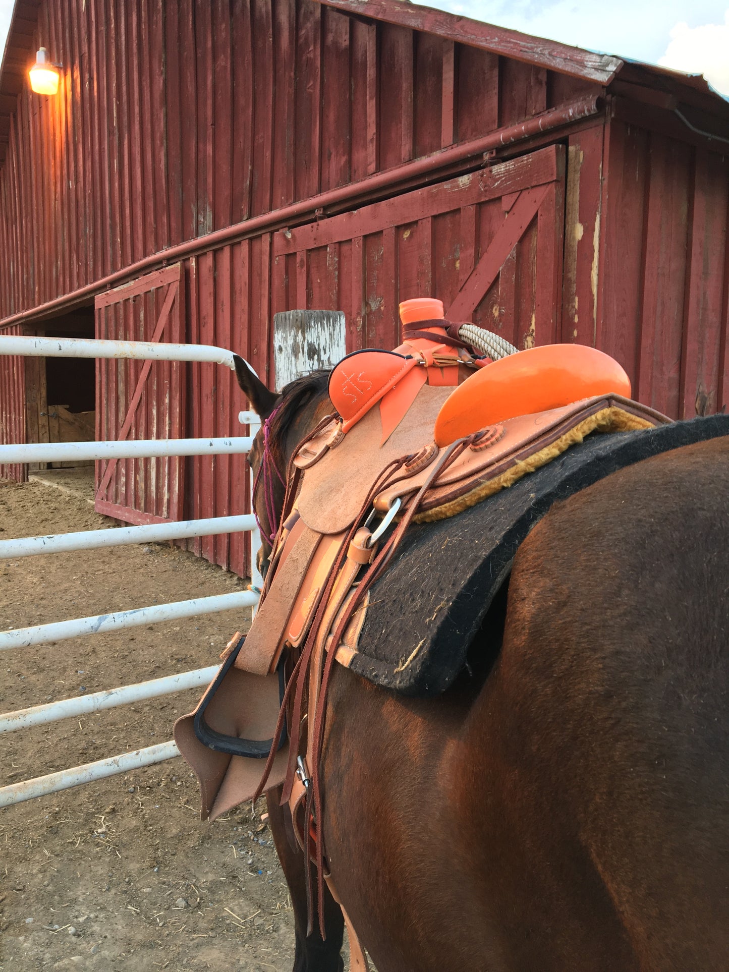 Saddle Custom Order Spot